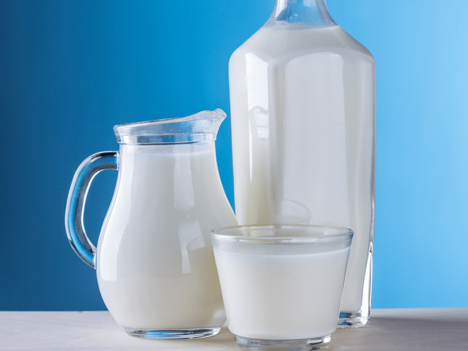 süt ürünleri kefir diyetinin temelidir