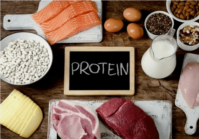 Protein Diyet Ürünleri