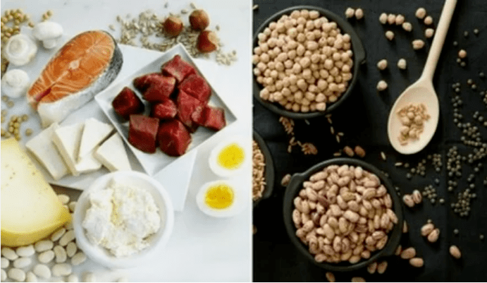 Protein diyet ürünleri örnekleri