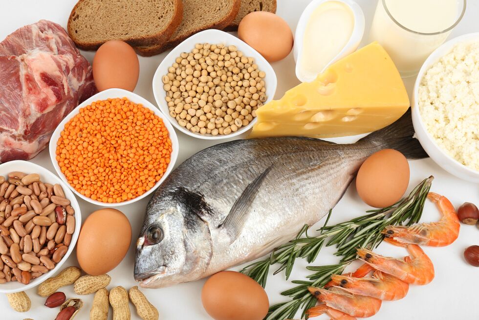protein diyetinin özellikleri